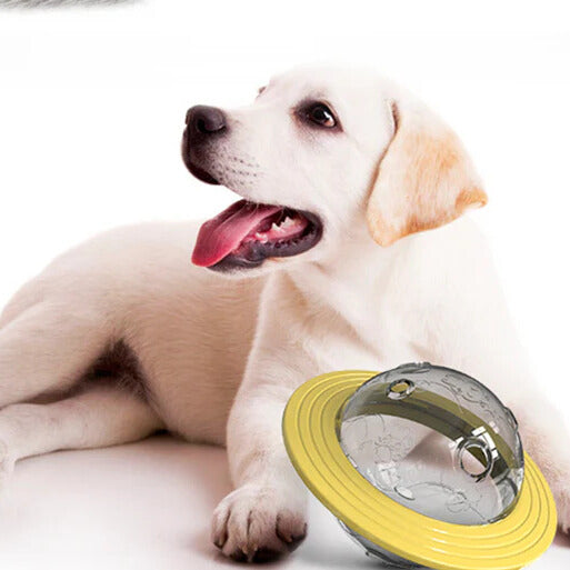 🐶 Huisdieren